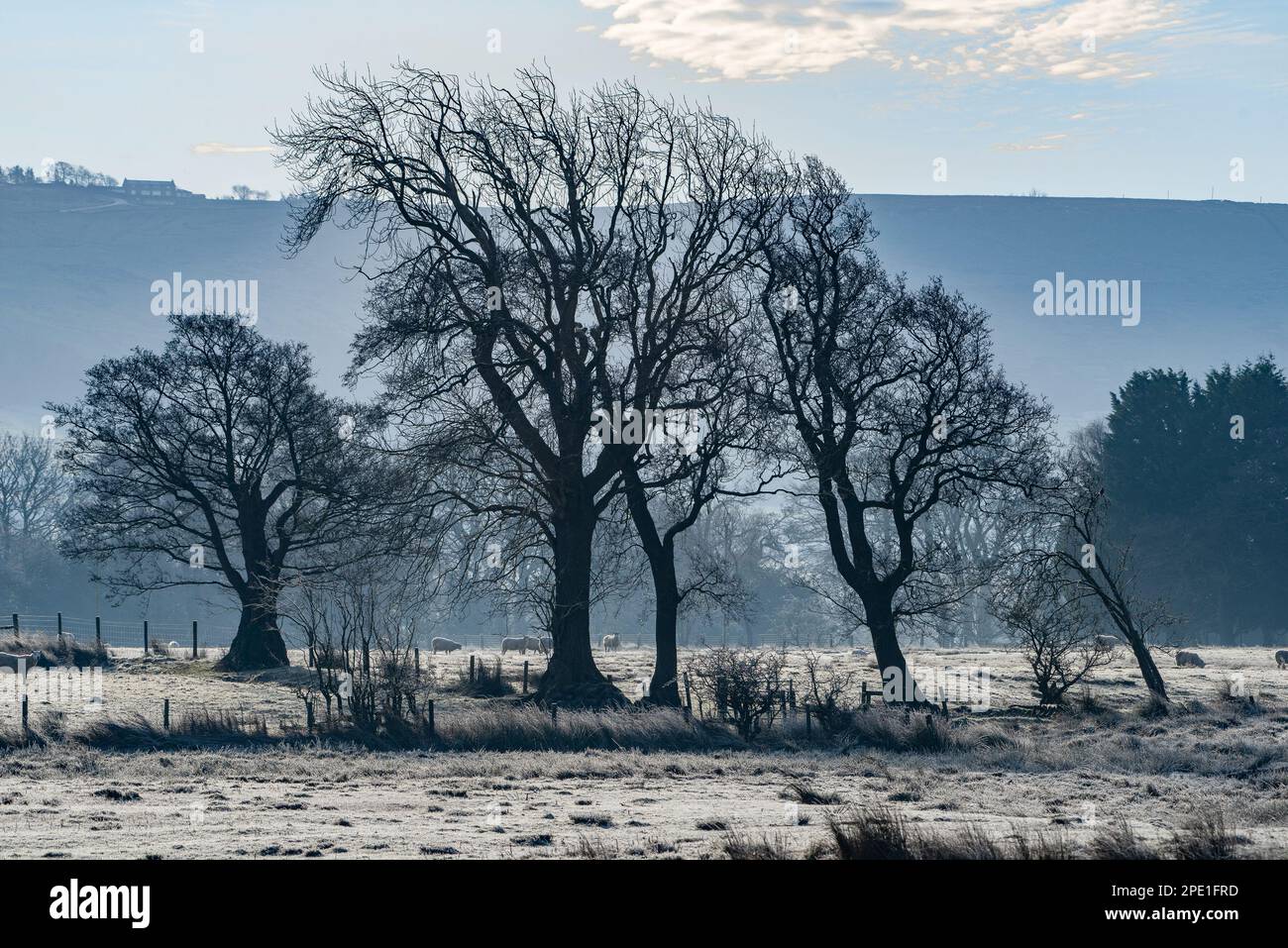A frosty morning, Chipping, Preston, Lancashire, UK Stock Photo