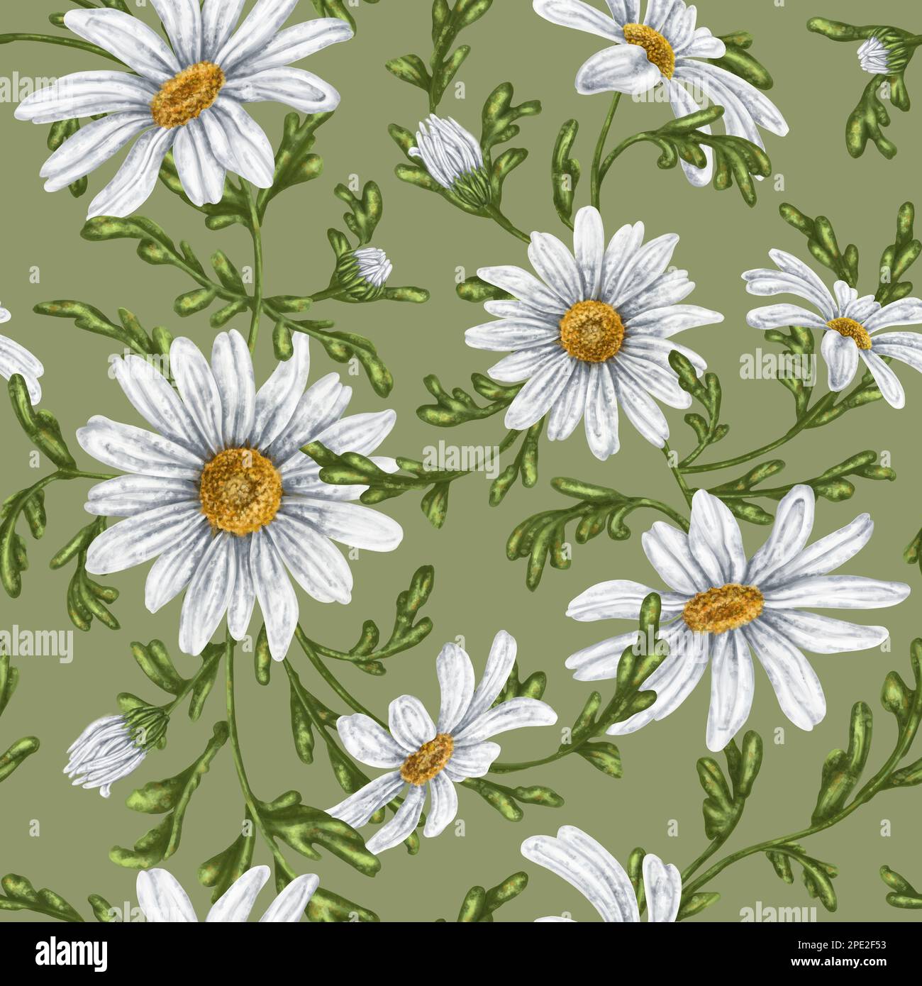 Seamless hand drawn pattern with white chamomiles. Flower background ...