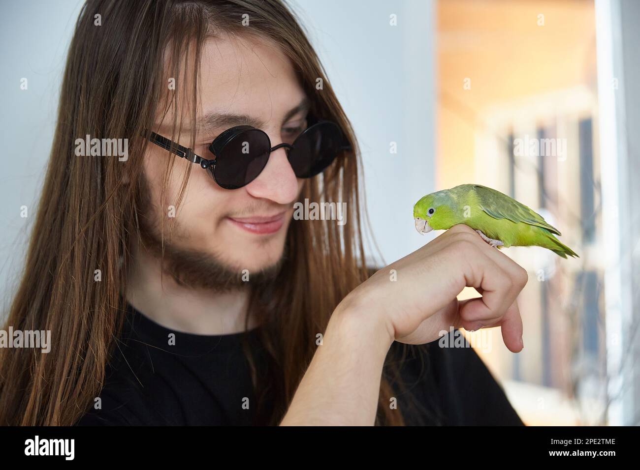 A guy with long hair communicates with a parrot forpus. Stock Photo