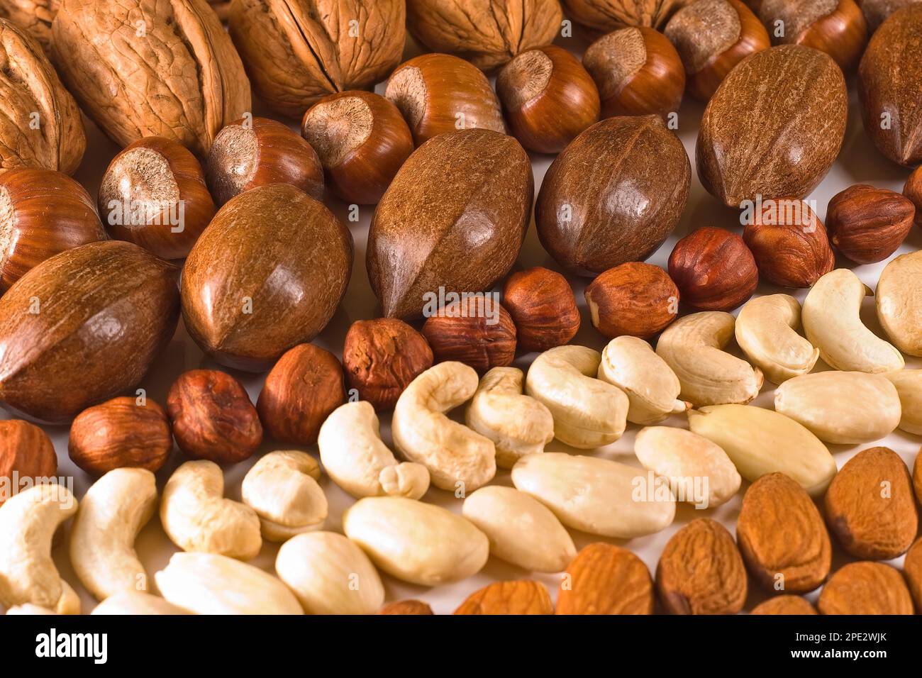 Set of nuts Walnuts, Hazelnuts, Almonds, Cashews, Pecans collection
