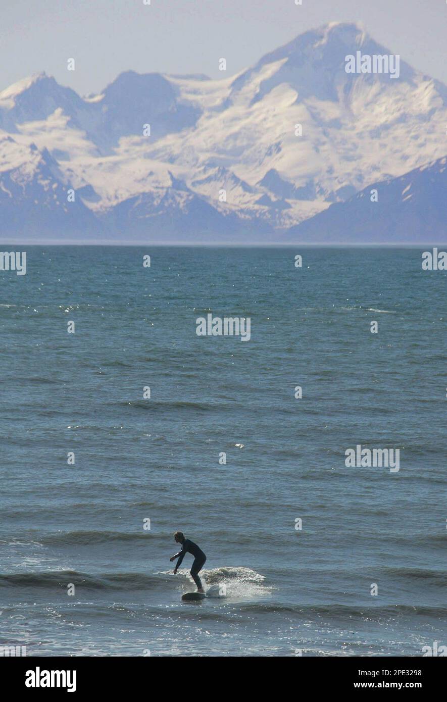 A surfer catches a wave in Cook Inlet off of Anchor Point, Alaska ...