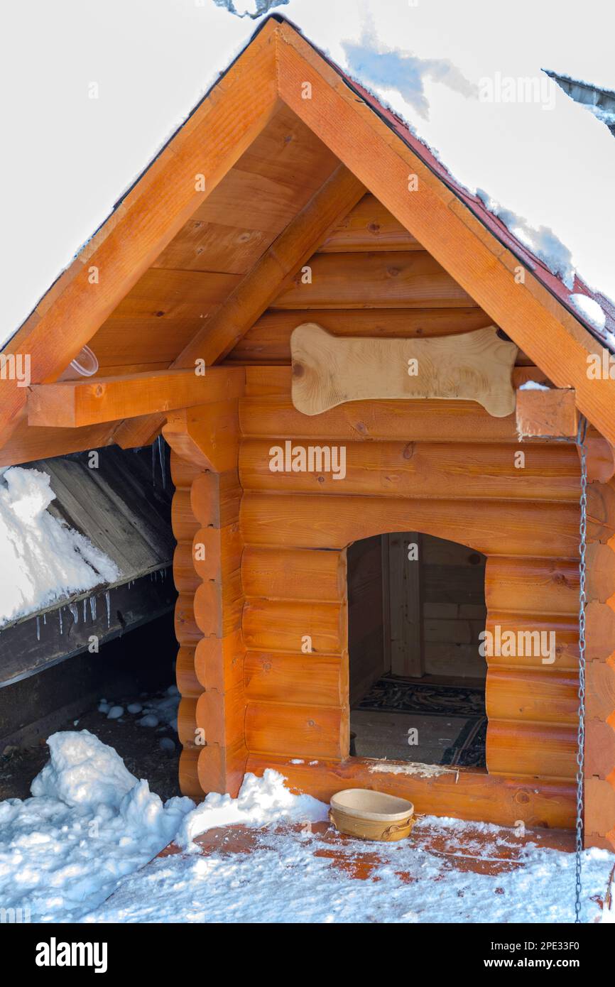 Large Dog Wood Log House Cabin Under Snow Winter Season Stock Photo