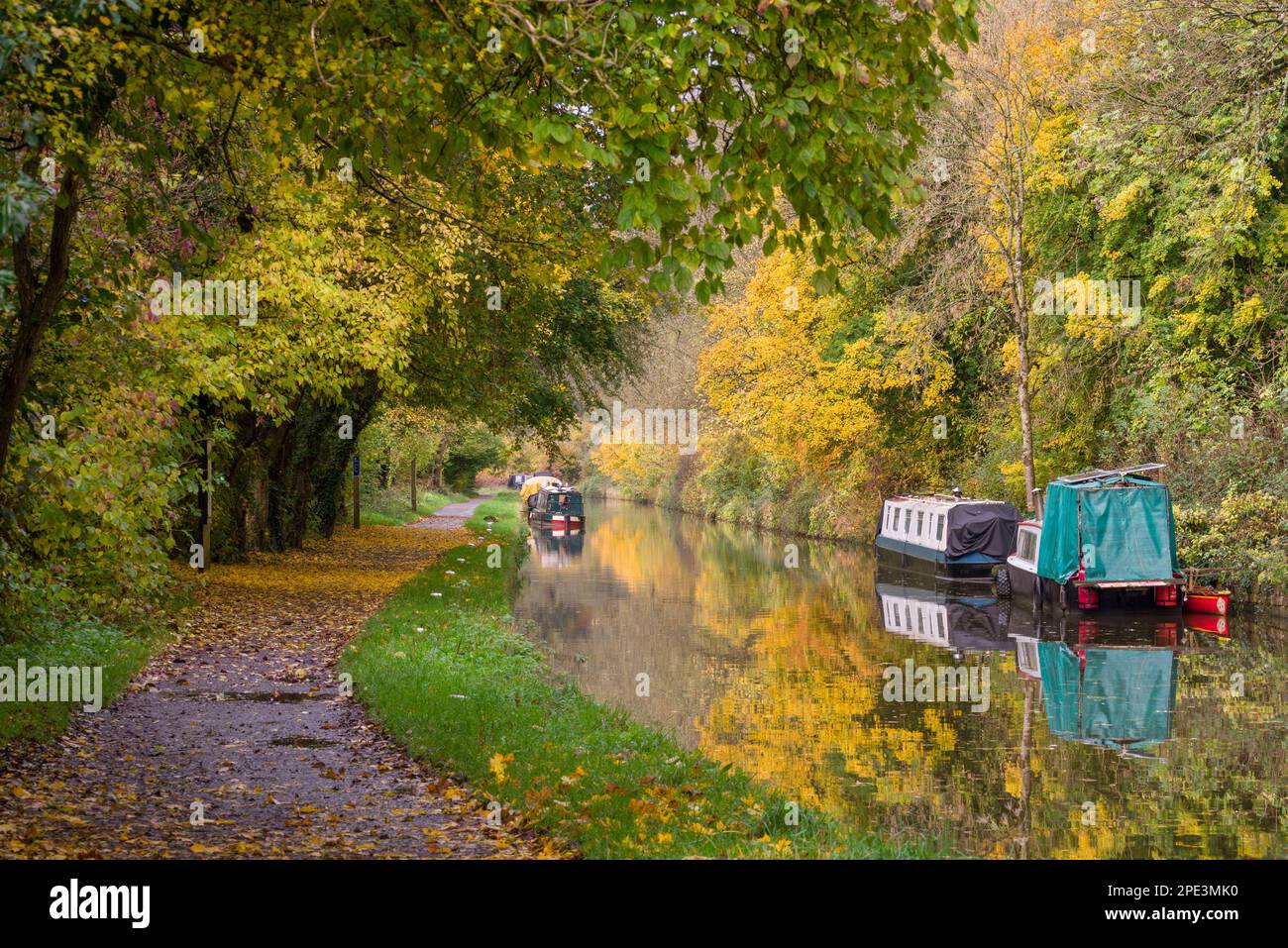 Narrowboats on the Kennet and Avon Canal surrounded by autumn colour, Avoncliff, Wiltshire, England. Stock Photo