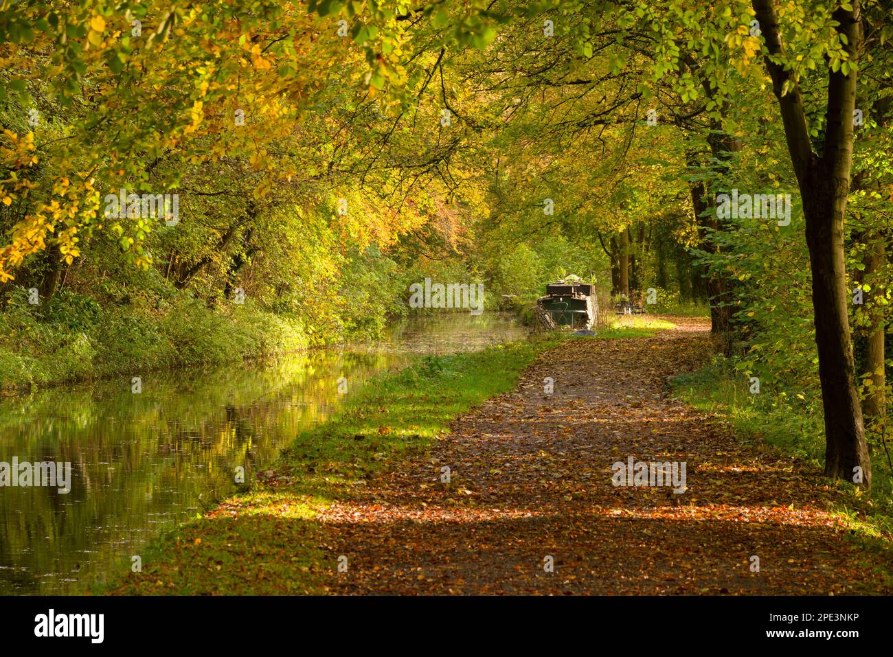 Autumn colour on the Kennet and Avon Canal, near Limpley Stoke, Wiltshire, England. Stock Photo