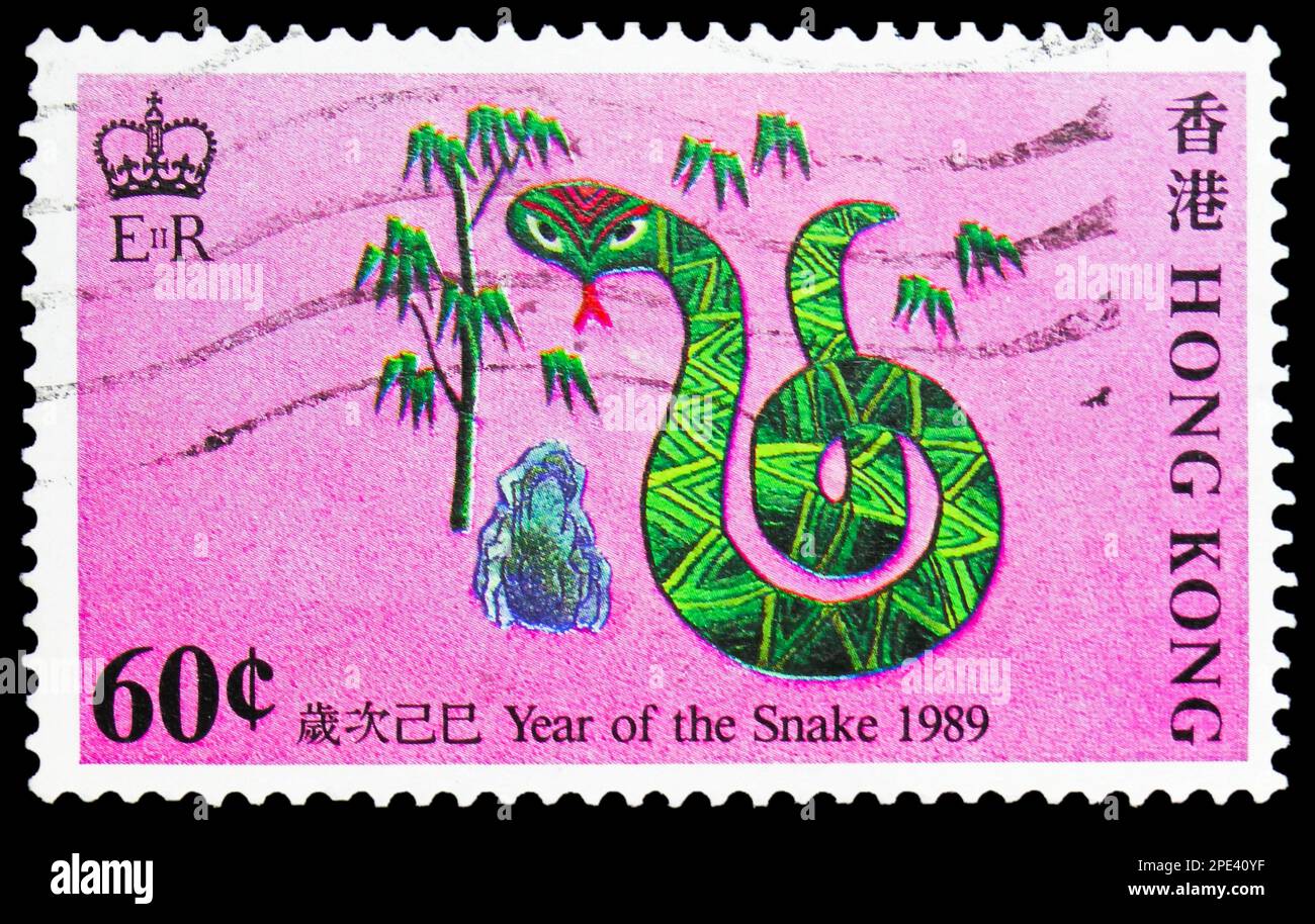chinese new year 1989 meaning