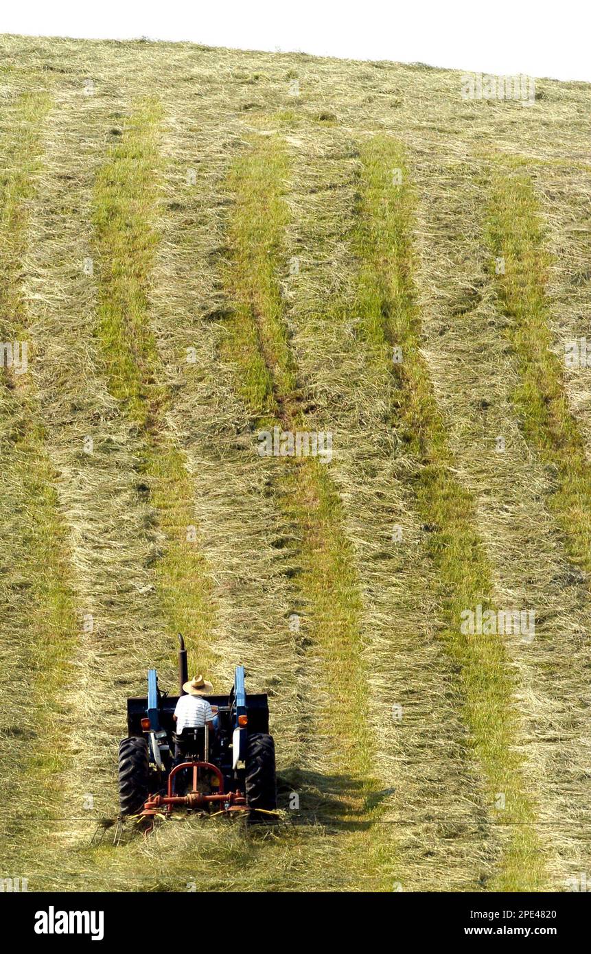 Harold Bauer strains up a steep hill Tuesday June 7, 2005 while using a tedder to spread hay for