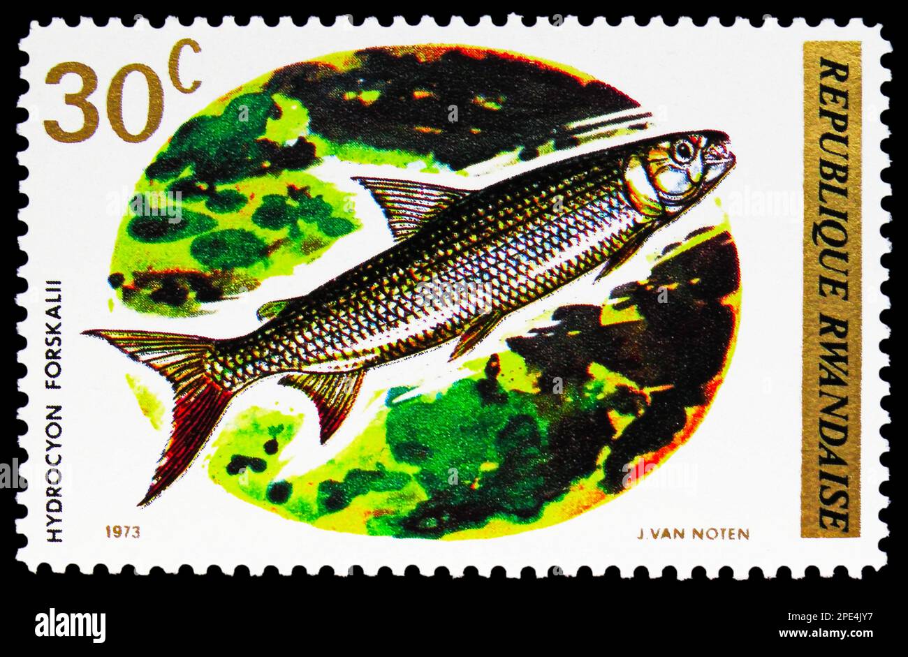 MOSCOW, RUSSIA - FEBRUARY 17, 2023: Postage stamp printed in Rwanda shows Lesser Tigerfish (Hydrocynus forskahlii), Fish (1973) serie, circa 1973 Stock Photo