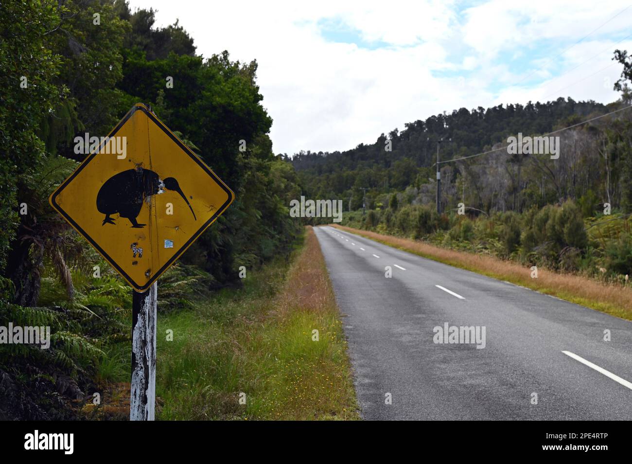 Road side signs designed to make drivers aware that Kiwis may be encountered in the area. The signs are near the West Coast settlement of Okarito Stock Photo
