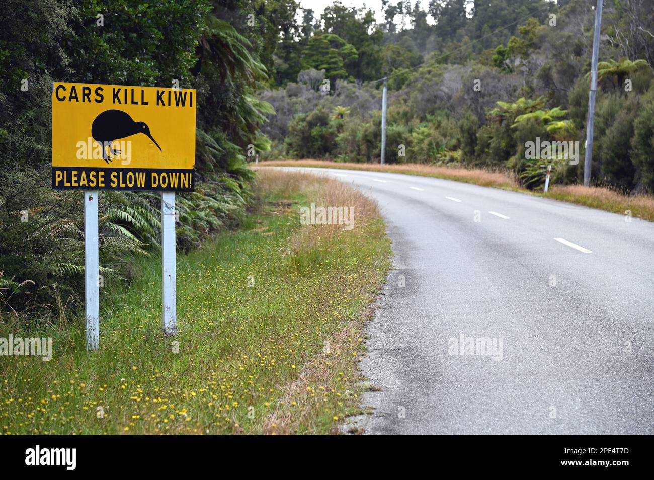 Road side signs designed to make drivers aware that Kiwis may be encountered in the area. The signs are near the West Coast settlement of Okarito Stock Photo