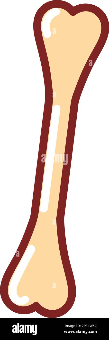 bone human body Stock Vector Image & Art - Alamy