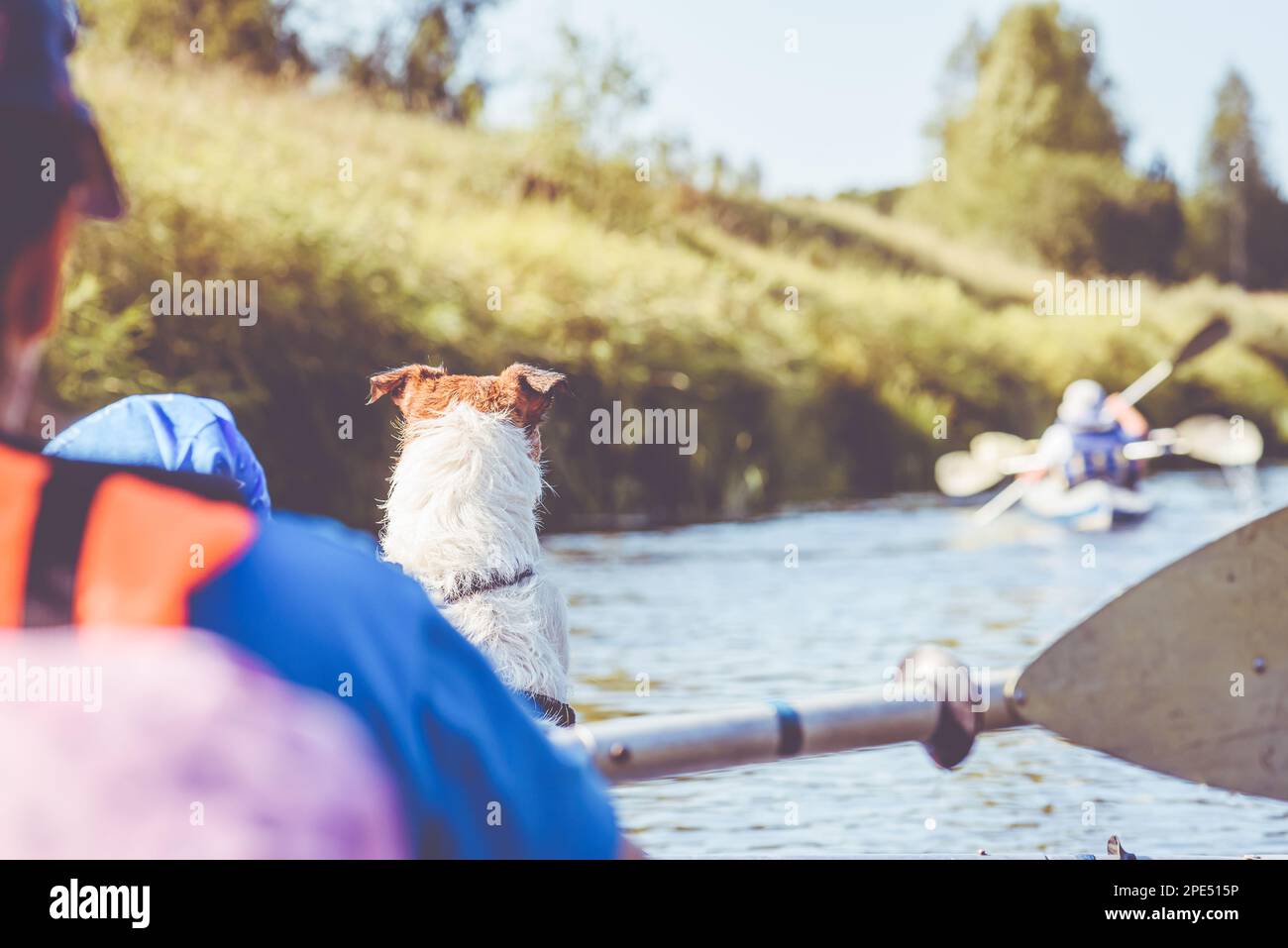 Family with child and dog floats down river in canoe during summer