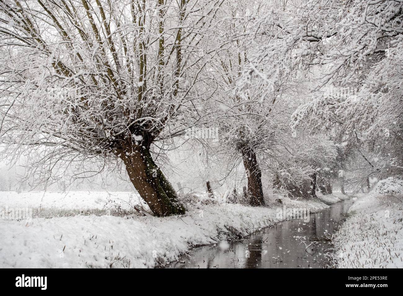 Onset of winter in Meerbusch, North Rhine-Westfalia, Germany. Heavy ...