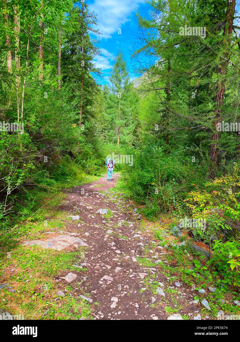 Girl walks along forest trail hi-res stock photography and images - Alamy