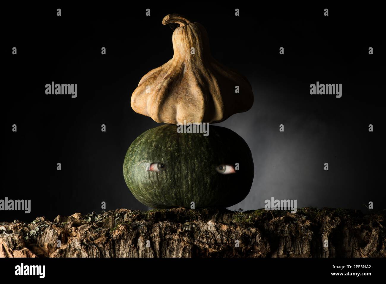 pumpkin for halloween on the black background Stock Photo - Alamy