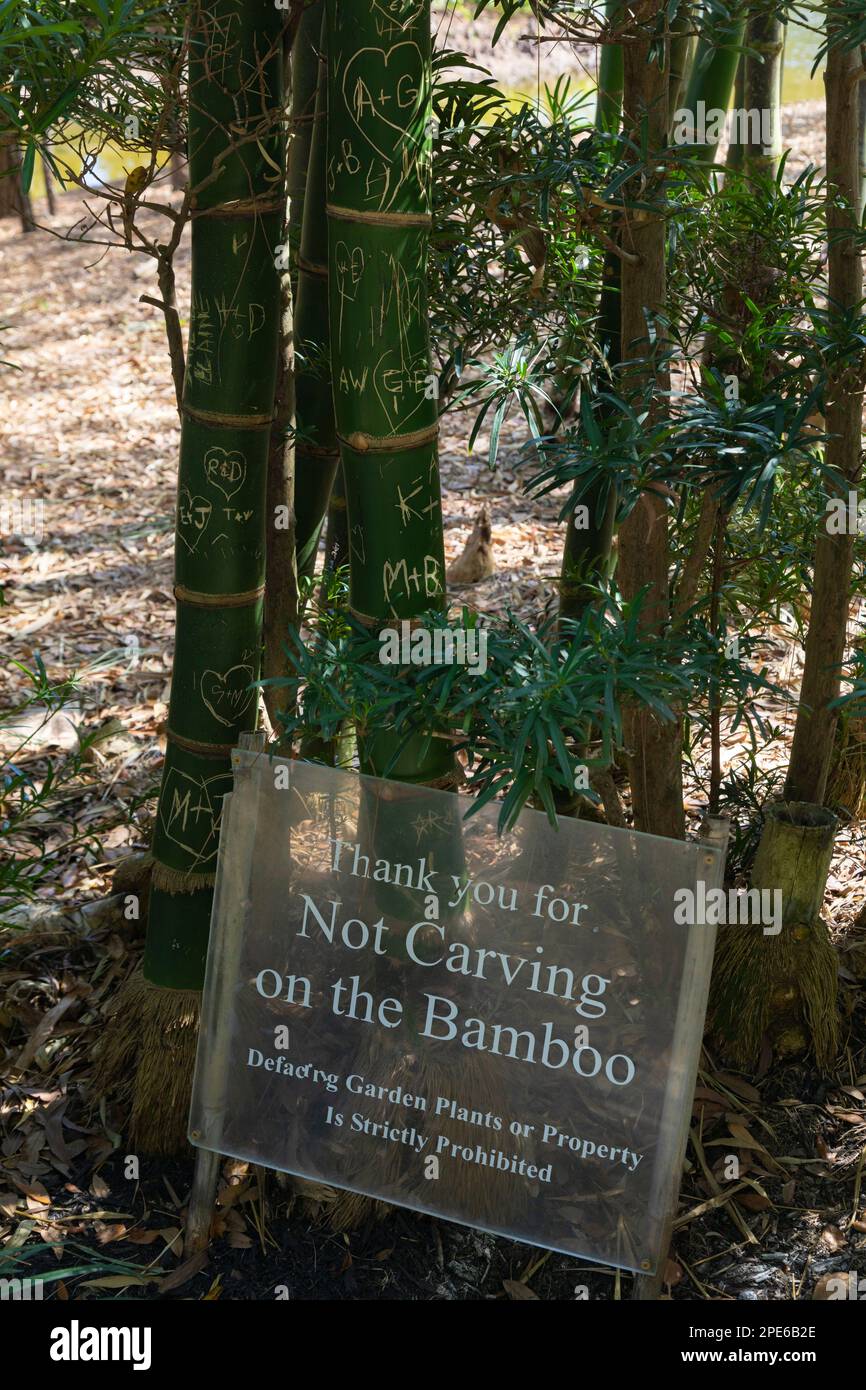 No carving on the bamboo sign at the Morikami Museum and Japanese