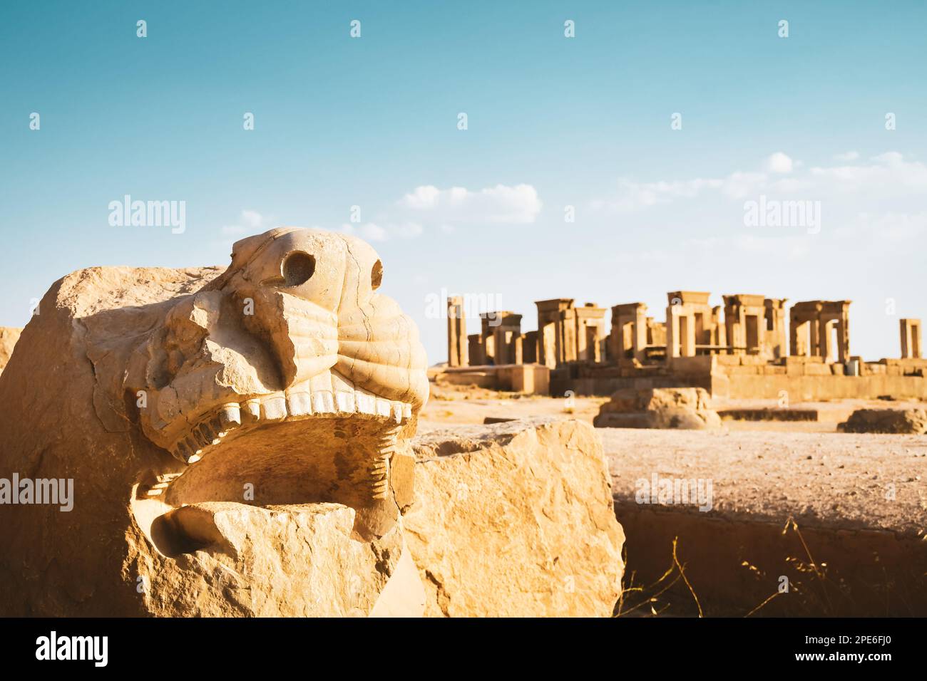 Persepolis, Iran - 8th june, 2022: lion statue head remains in Persepolis archeological ancient city site Stock Photo