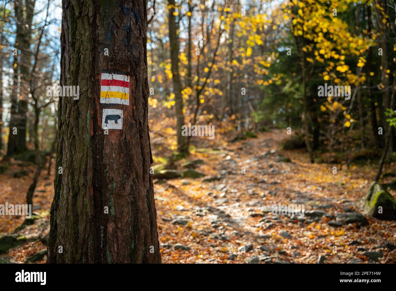 Tourist trail designation. Red and yellow color. Polish mountains Stock Photo