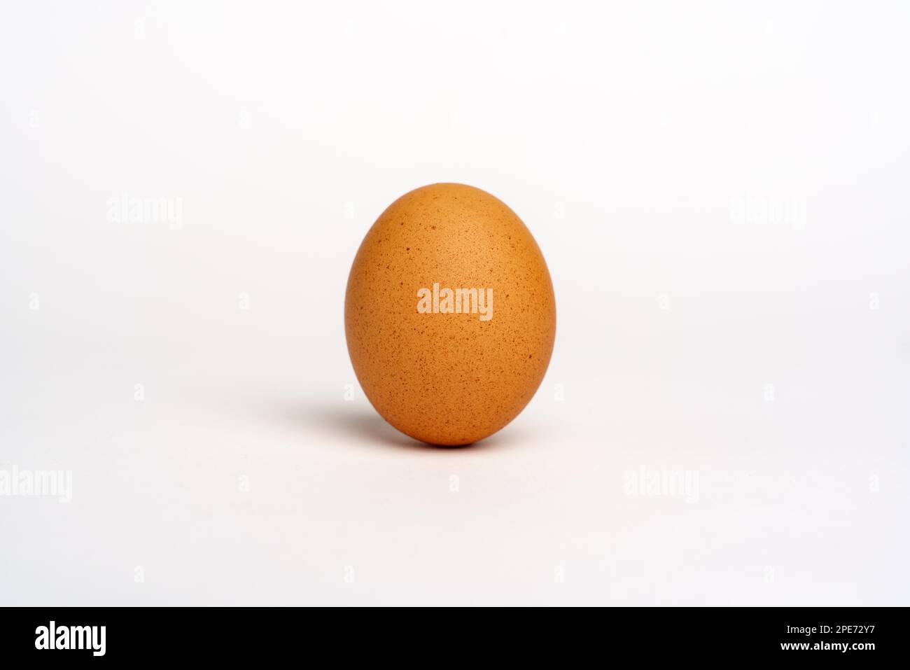 Egg brown, isolated on white background. Studio Stock Photo