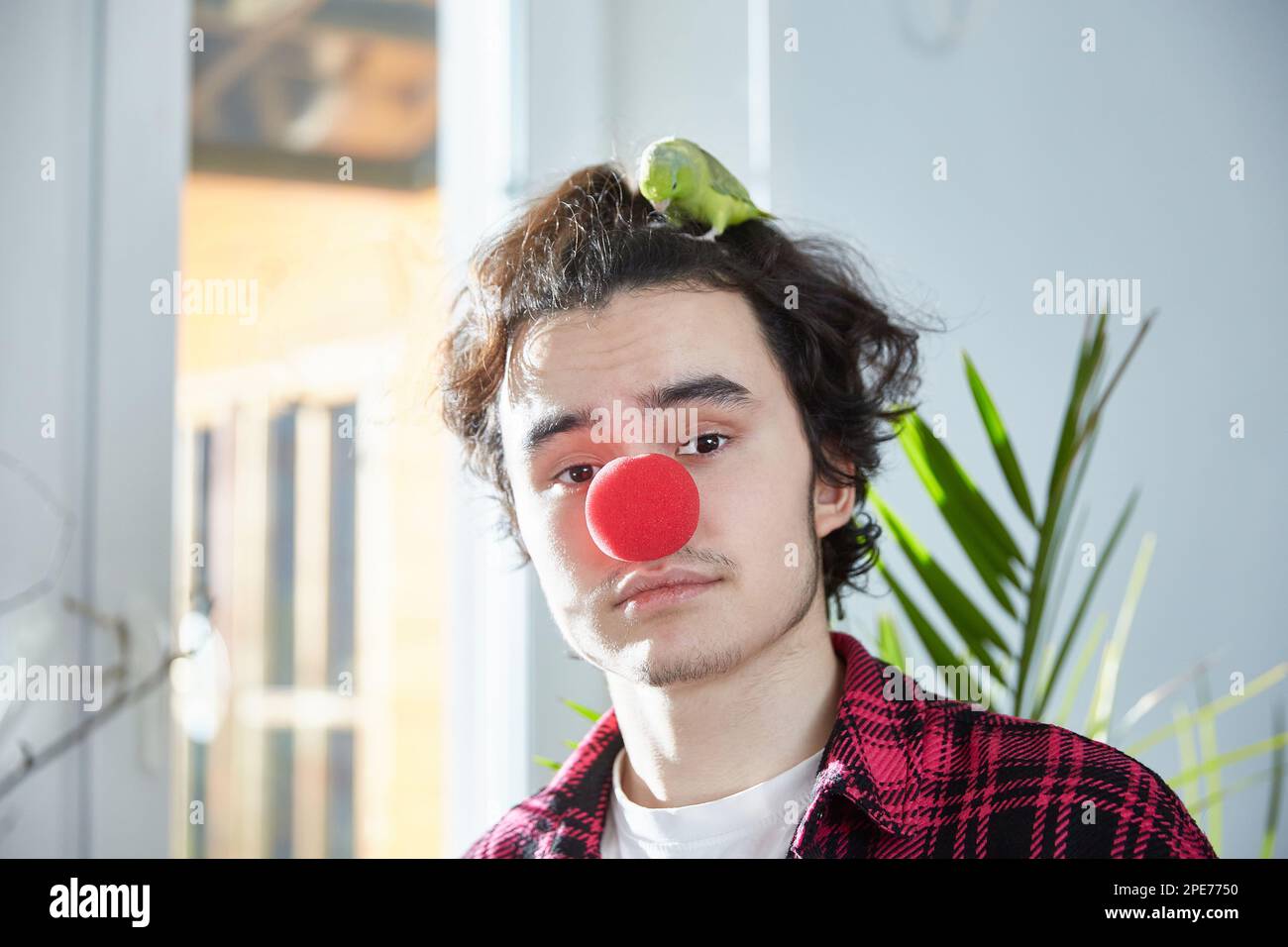 The unlucky birthday of a young man is saddened and disappointed that no one came to celebrate his anniversary. Pet parrot on the head. Red clown nose Stock Photo