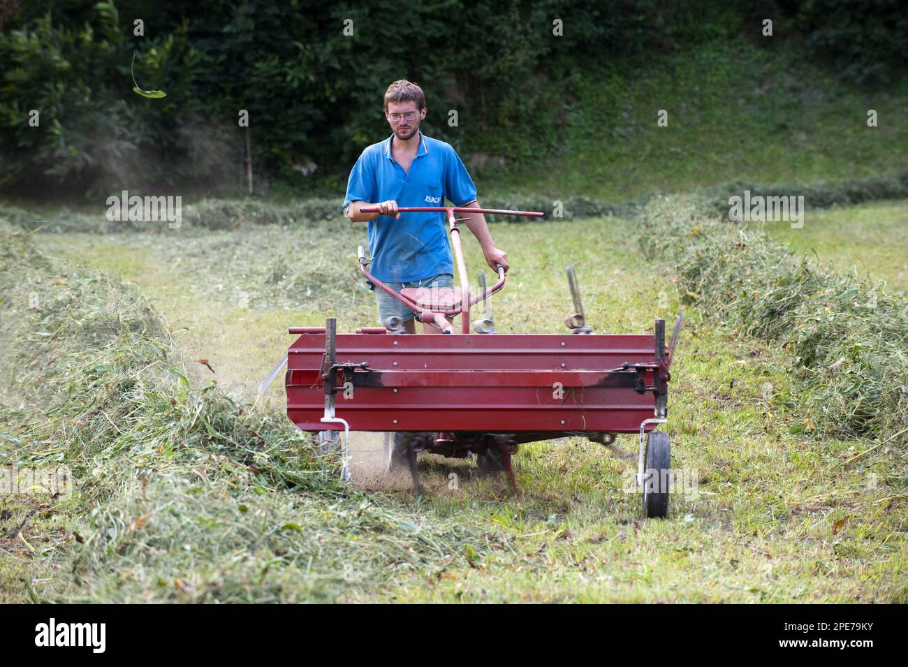 Farmer with small selfpropelled truing machine in hay meadow, Alps