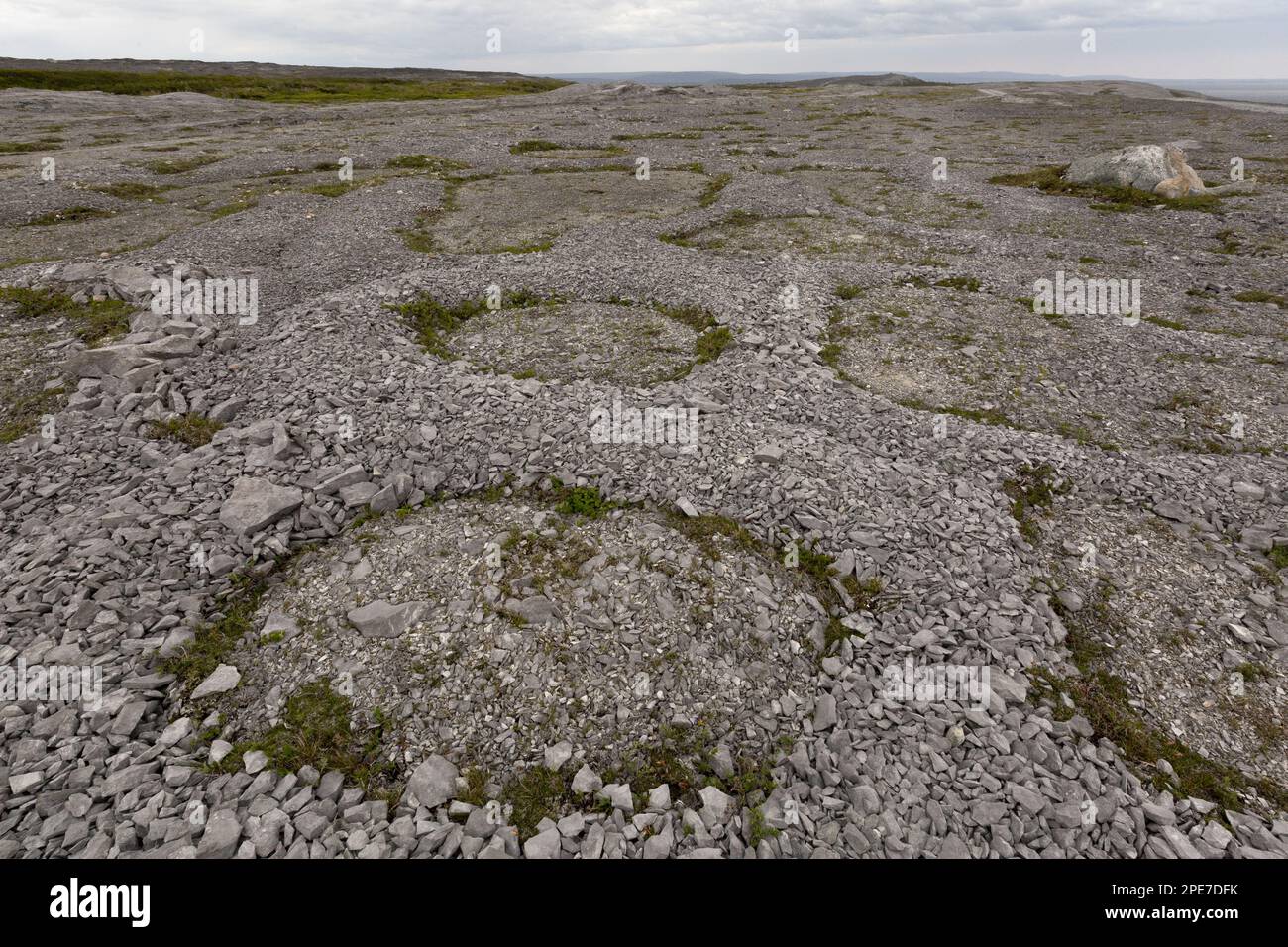 Frost polygons and other permafrost effects on Ordovician limestone, Burnt Cape Ecological Reserve, Raleigh, Great Northern Peninsula, Newfoundland Stock Photo