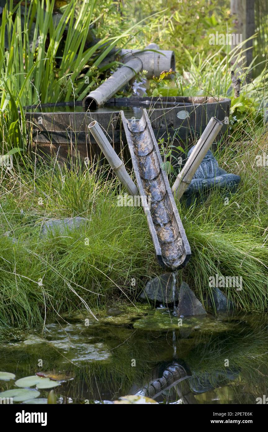 Bamboo water feature and garden pond, England, United Kingdom Stock
