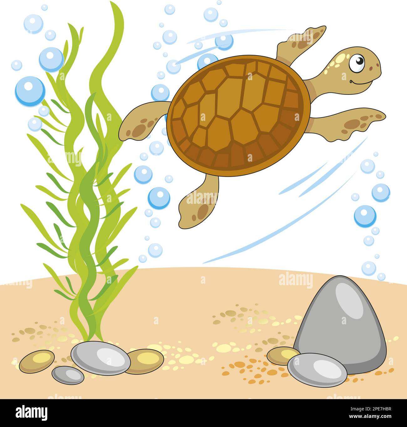 vector cartoon illustration of the underwater world with turtle, sandy ...