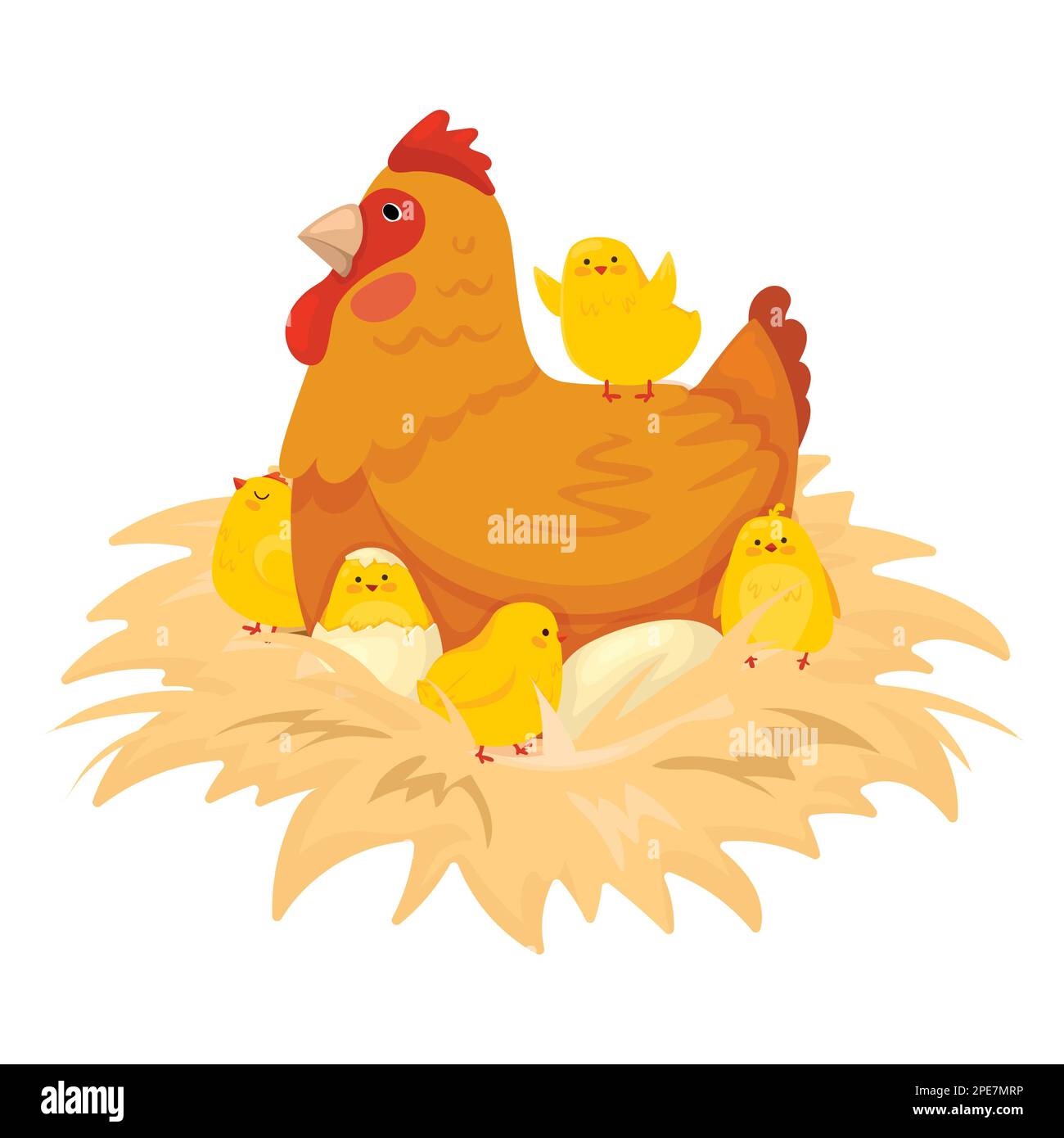 A hen sits on a nest with her newborn chicks Stock Vector