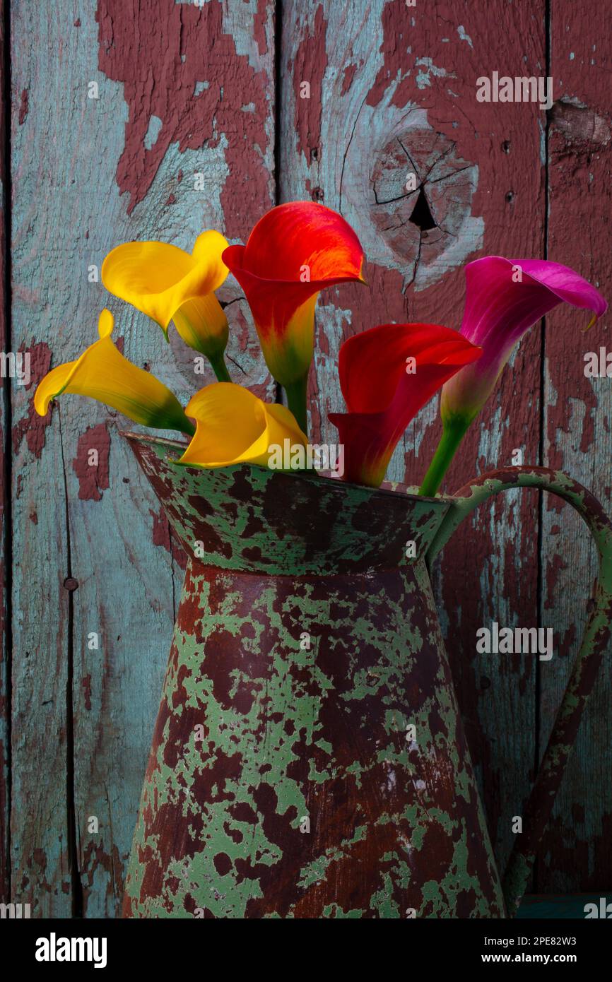 Rustic Pitch And Calla Lilies Stock Photo Alamy