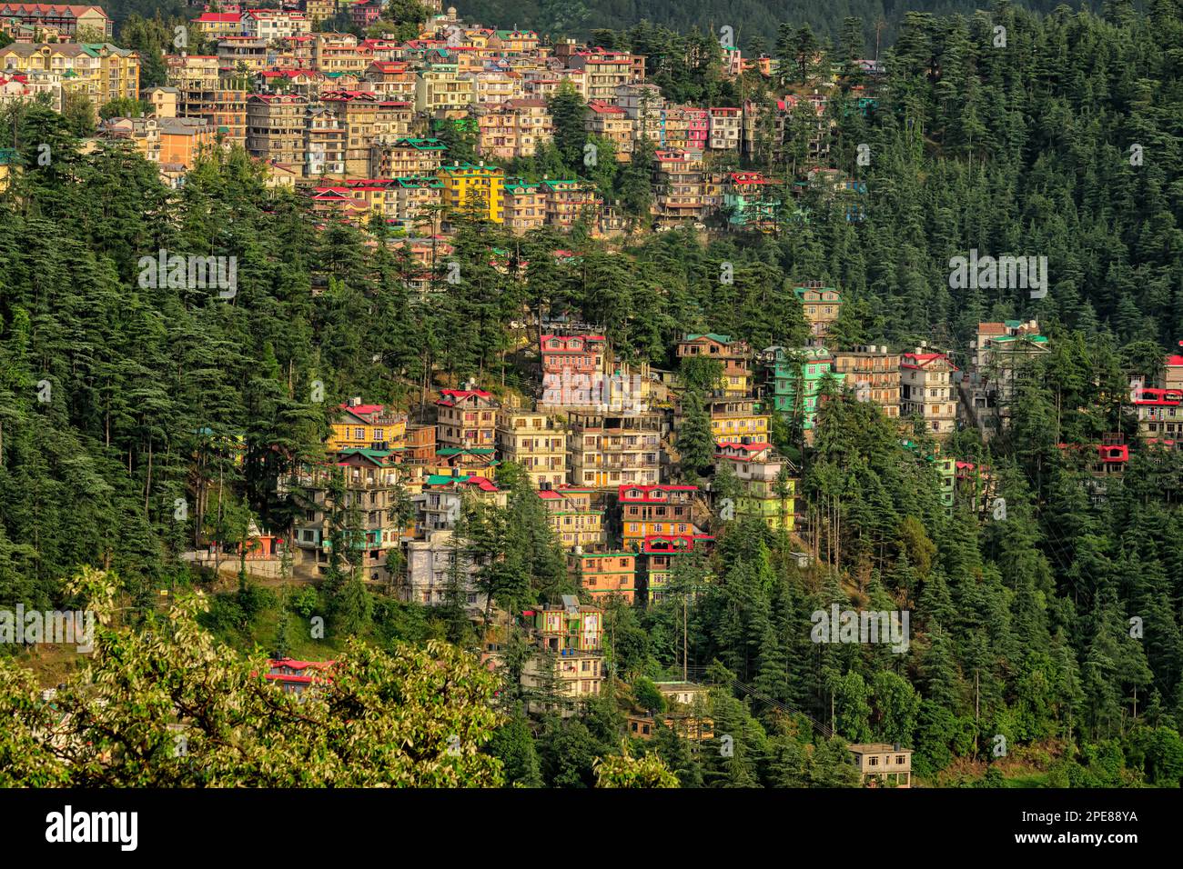 Houses on the mountaiside in Shimla, Himachal Pradesh, India Stock