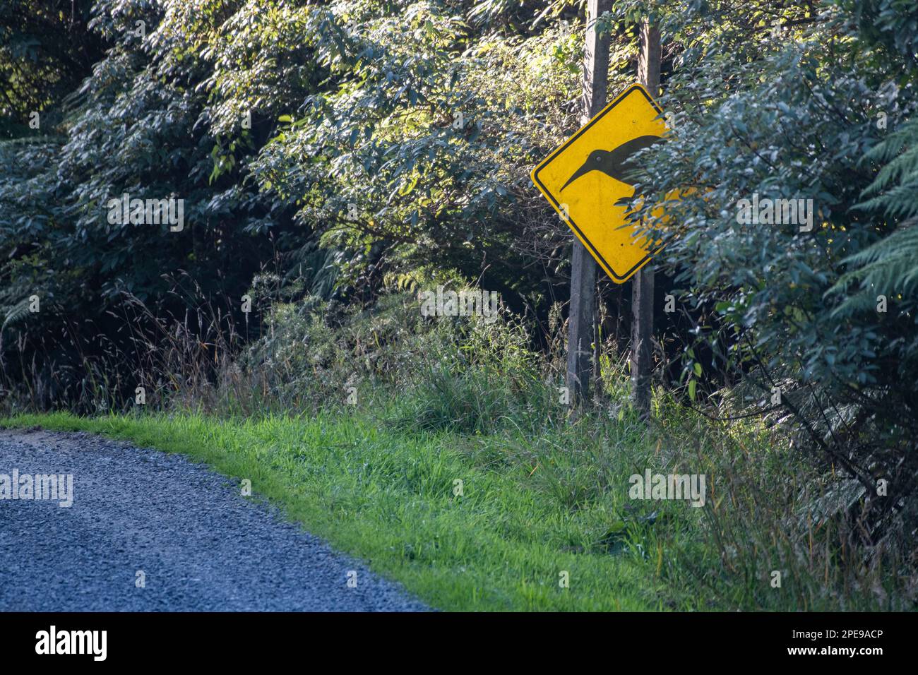 A yellow kiwi crossing sign warns drivers to be cautious of wildlife crossing the road. Stock Photo