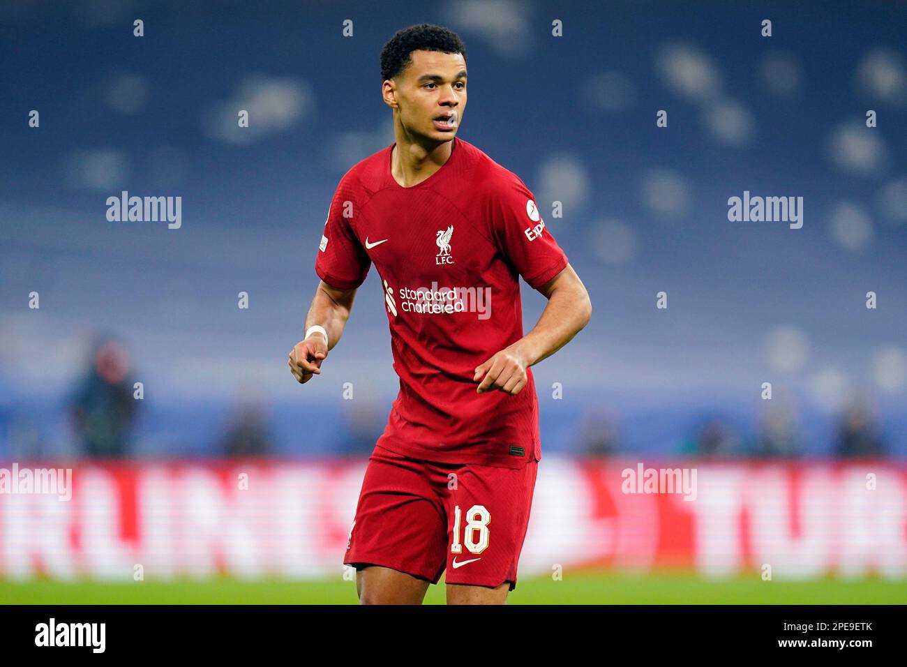 Madrid, Spain. 15th Mar, 2023. Cody Gakpo of Liverpool FC during the UEFA Champions League match, round of 16, 2nd leg between Real Madrid and Liverpool FC played at Santiago Bernabeu Stadium on March 15, 2023 in Madrid, Spain. (Photo by Colas Buera/PRESSIN) Credit: PRESSINPHOTO SPORTS AGENCY/Alamy Live News Stock Photo