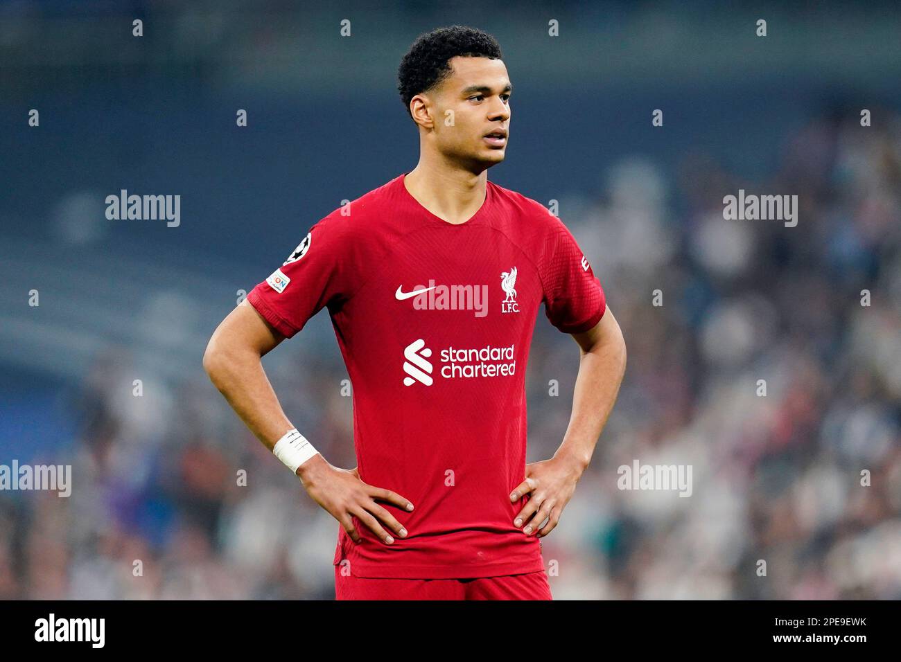 Madrid, Spain. 15th Mar, 2023. Cody Gakpo of Liverpool FC during the UEFA Champions League match, round of 16, 2nd leg between Real Madrid and Liverpool FC played at Santiago Bernabeu Stadium on March 15, 2023 in Madrid, Spain. (Photo by Colas Buera/PRESSIN) Credit: PRESSINPHOTO SPORTS AGENCY/Alamy Live News Stock Photo