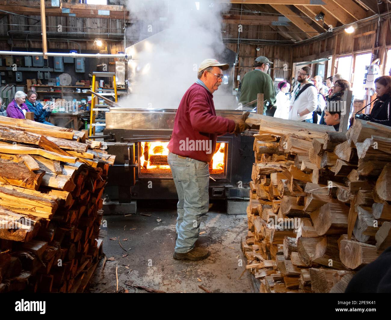 Boiling down maple tree sap to make maple syrup at Goulds Sugar House ...