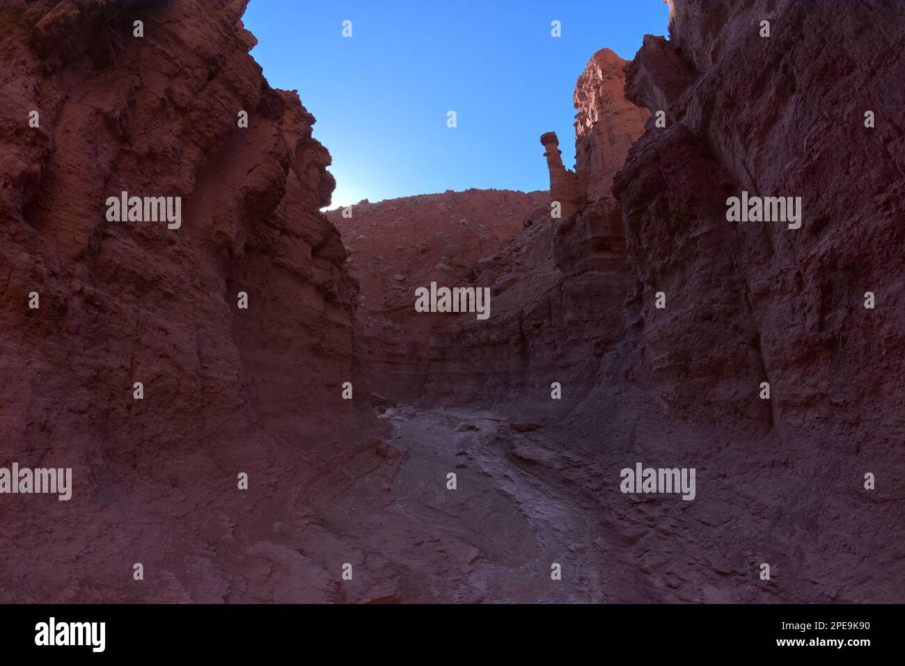 The narrows of Cathedral Canyon that follows Cathedral Wash toward the Vermilion Cliffs in Glen Canyon Recreation Area at Marble Canyon Arizona. Stock Photo