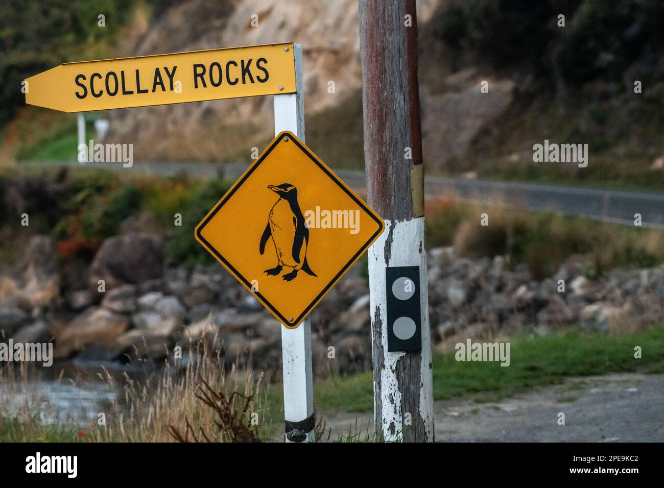 A cautionary signpost warning about penguin crossing alongside a road in Oban, Stewart island, New Zealand. Stock Photo