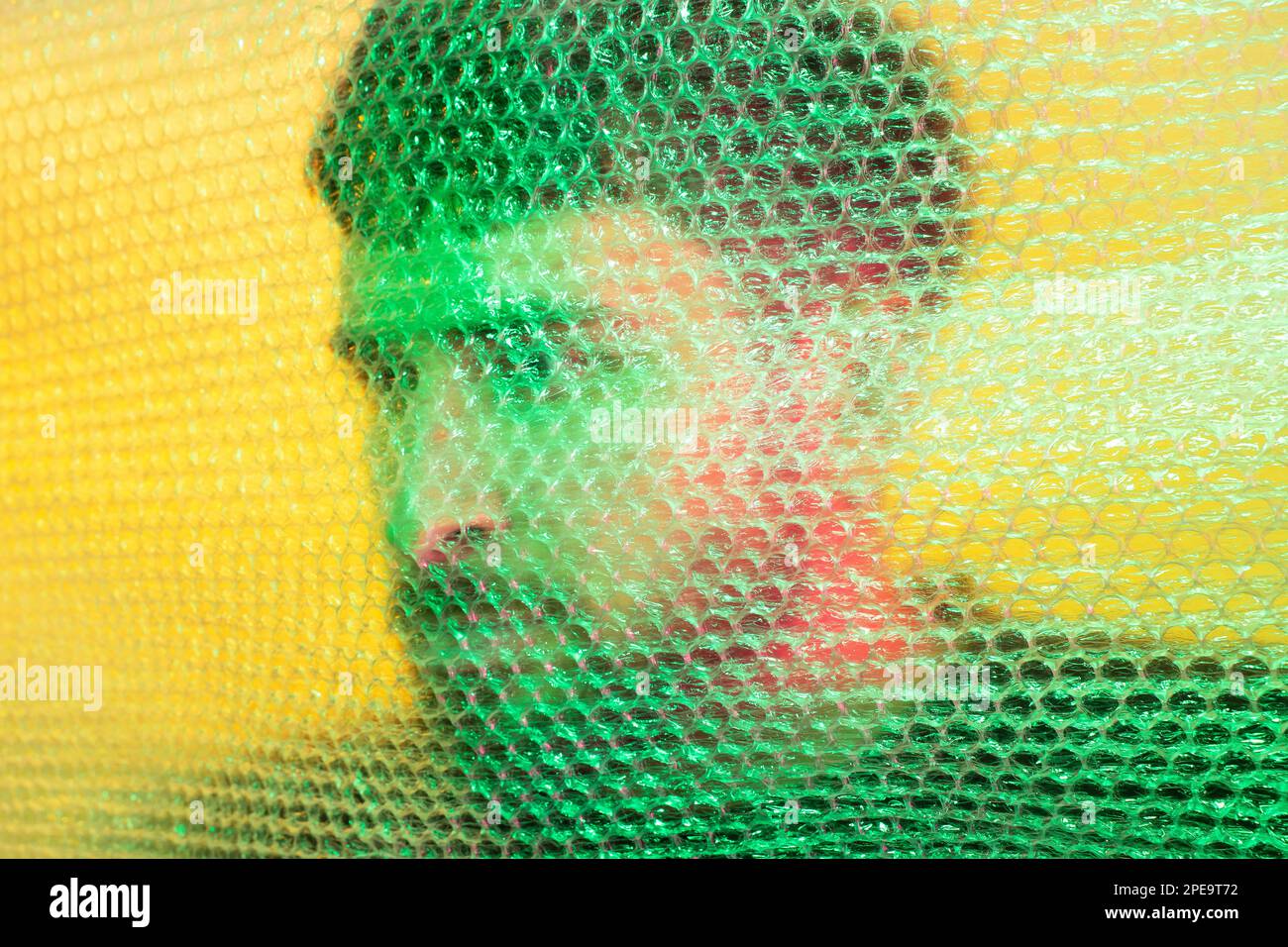 Plastic reuse. Environmental protection. Art portrait man silhouette in