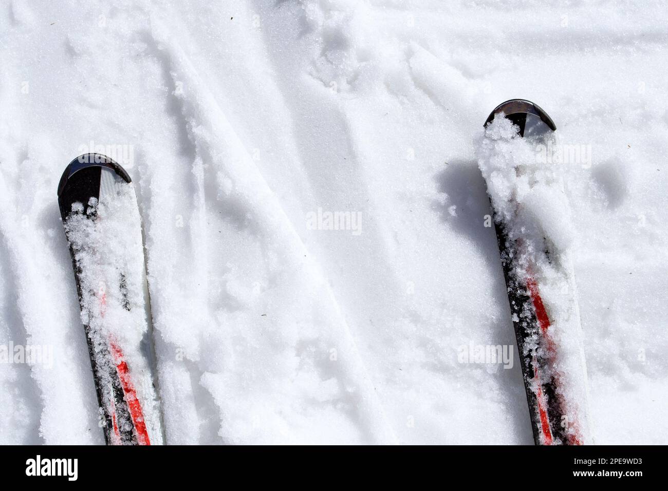 Skis in the wet snow Stock Photo Alamy