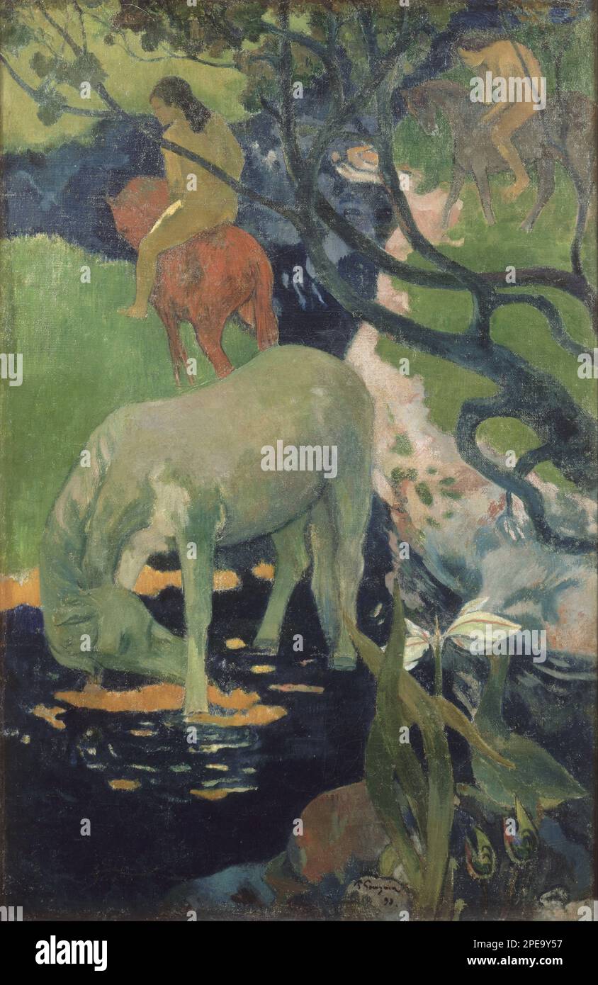The White Horse 1898 by Paul Gauguin Stock Photo