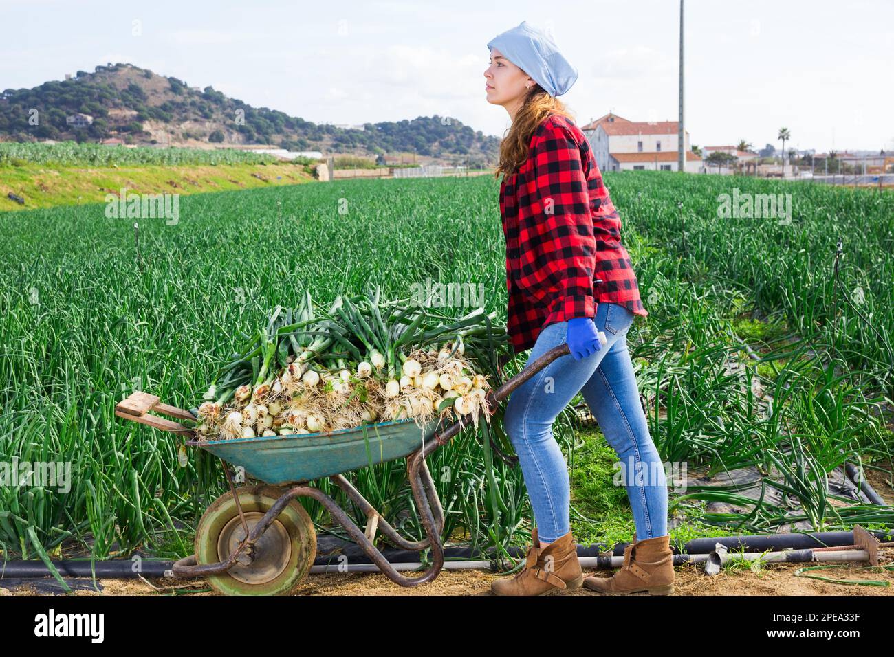 Young girl farmer with wheelbarrow Stock Photo - Alamy
