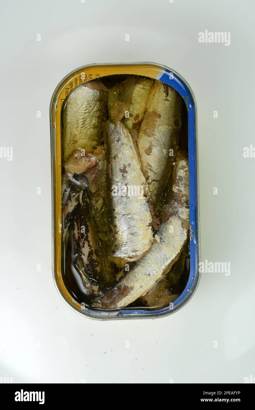 Canned seafood, preserved in oil. Isolated over white background