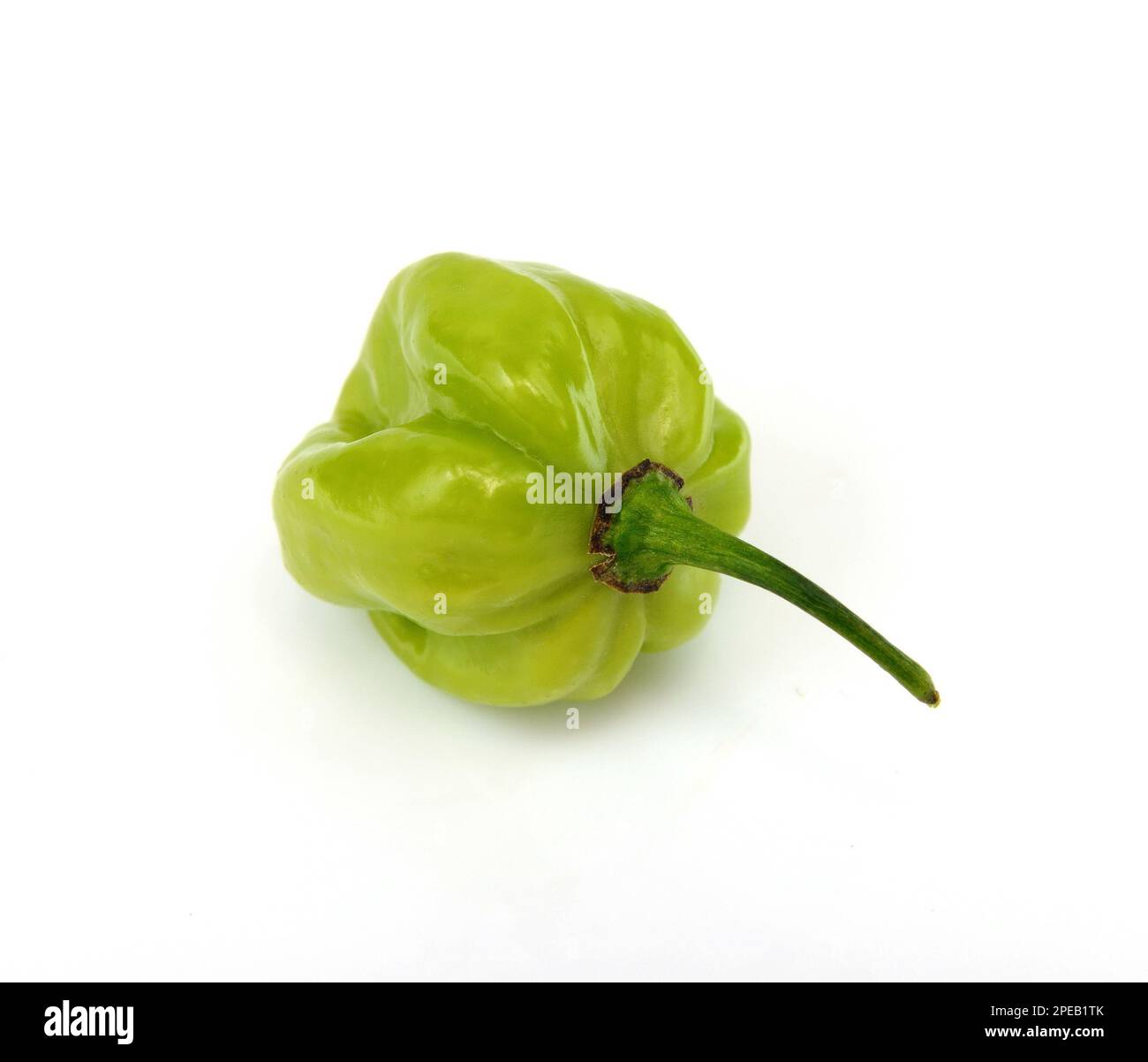 Green Habanero chili isolated on white background hot Chinese pepper