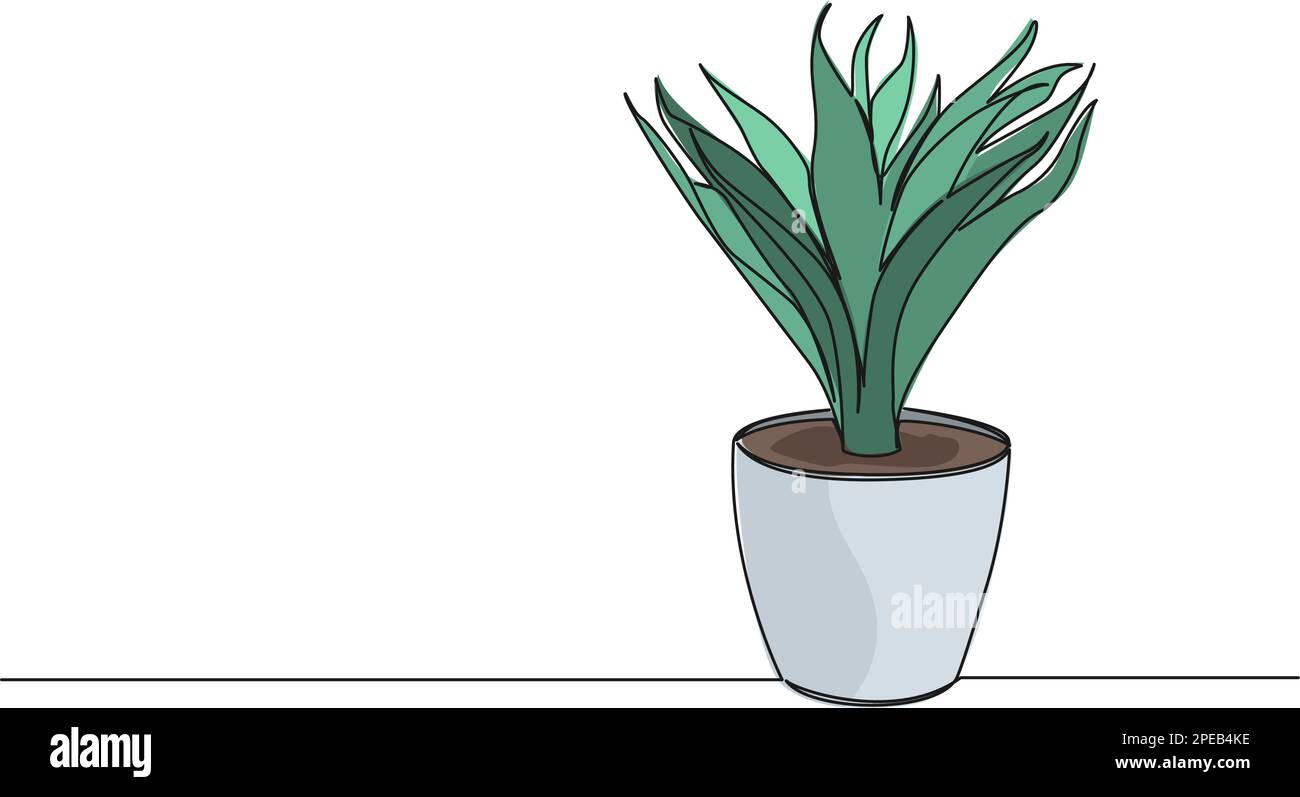 Colored Continuous Single Line Drawing Of Potted Plant Line Art Vector