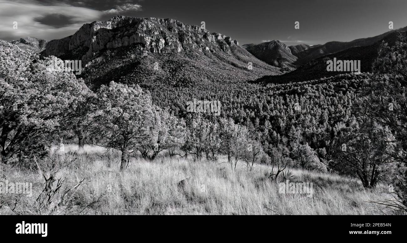 Afternoon Panorama - Chiricahua Wilderness, Arizona Stock Photo