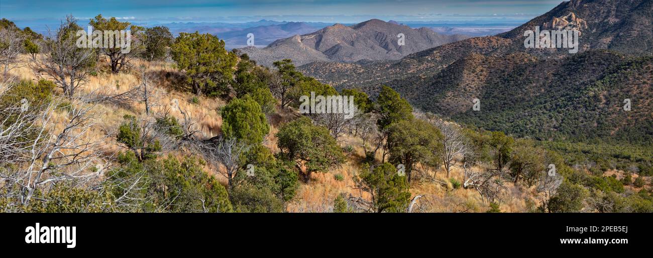 Chiricahua Wilderness Panorama Stock Photo