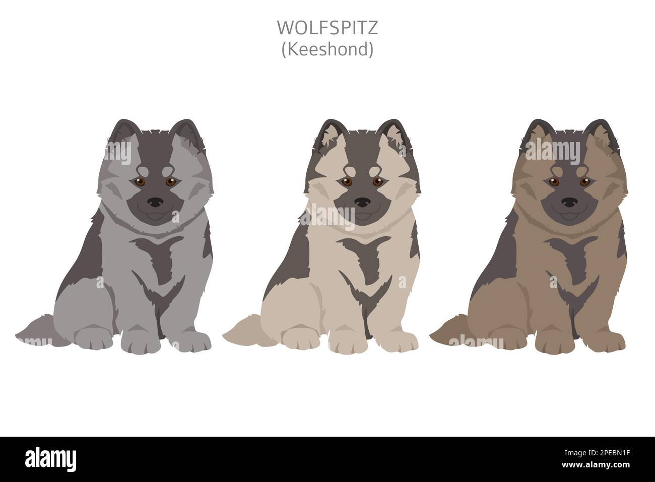 German spitz, Wolfspitz clipart. Different poses, coat colors set ...