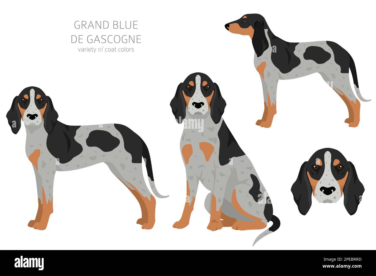 are grand bleu de gascogne good with kids