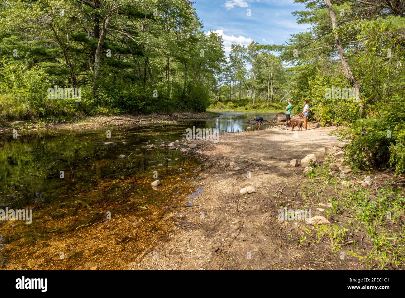 The Tully River during the summer drought 2022, Royalston, MA Stock