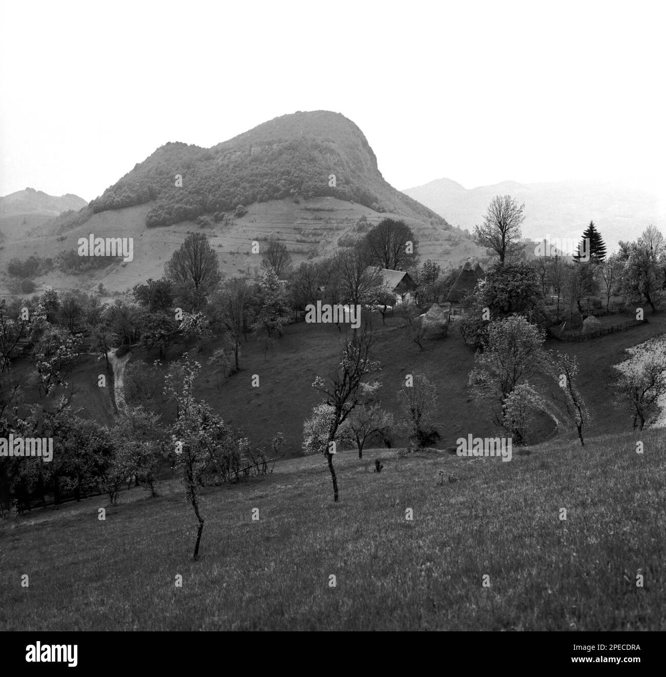 Hunedoara County, Romania, approx. 1979. Summer landscape in the Orastiei Mountains. Stock Photo