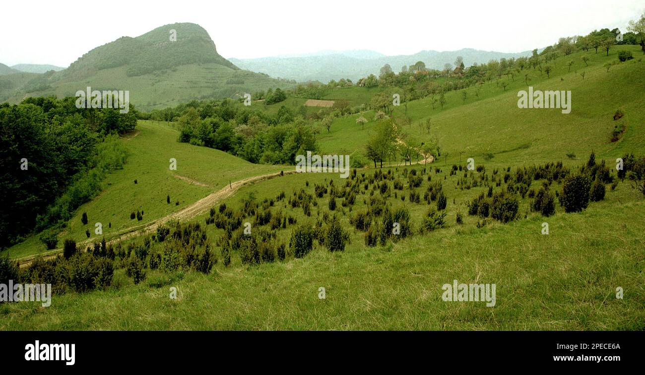 Hunedoara County, Romania, approx. 1979. Summer landscape in the Orastiei Mountains. Stock Photo